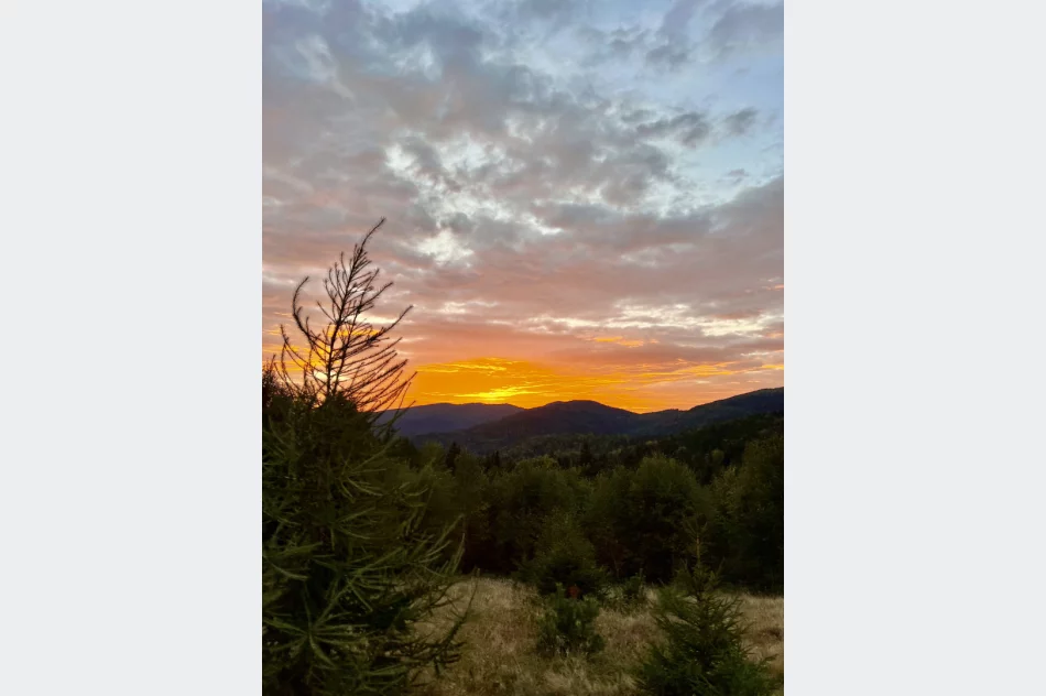 Prognoza na kolejne 7 dni - gorsza pogoda w weekend - zdjęcie 10