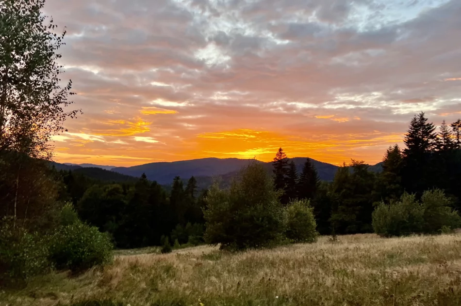 Prognoza na kolejne 7 dni - gorsza pogoda w weekend - zdjęcie 11