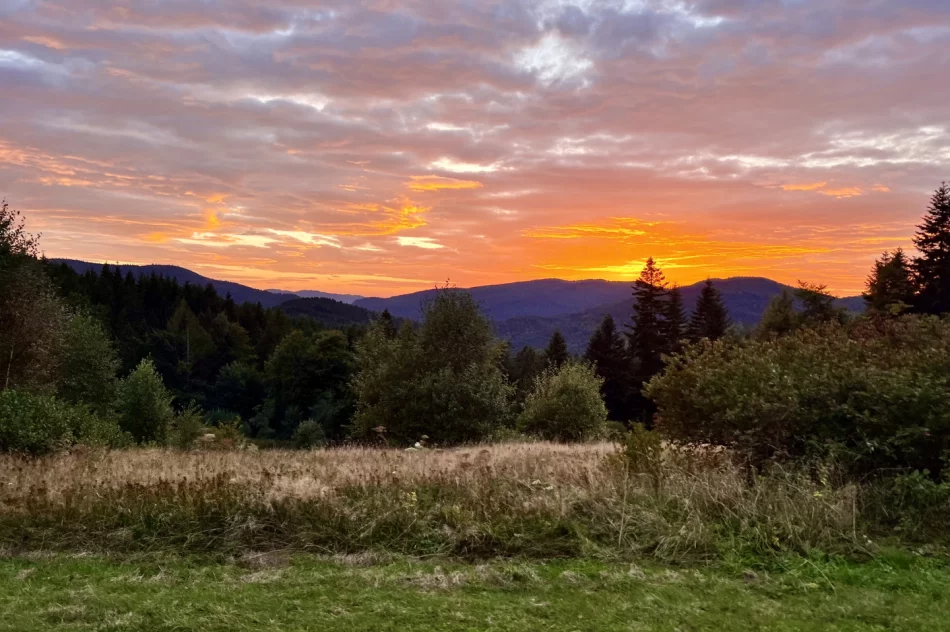 Prognoza na kolejne 7 dni - gorsza pogoda w weekend - zdjęcie 12