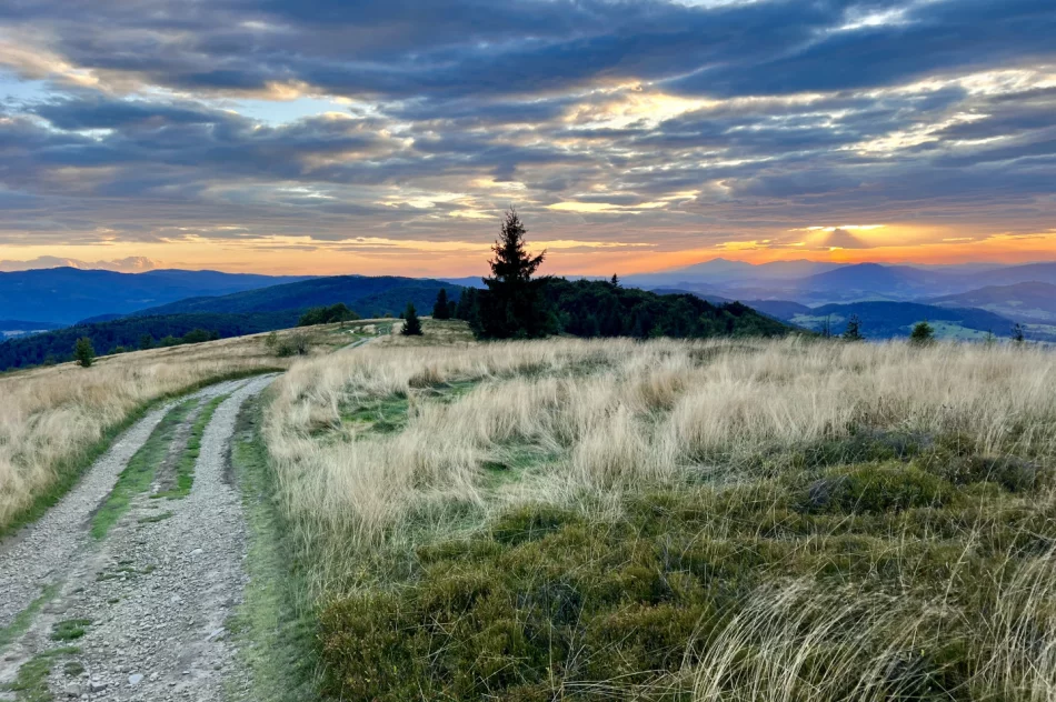 Prognoza na kolejne 7 dni - gorsza pogoda w weekend - zdjęcie 13
