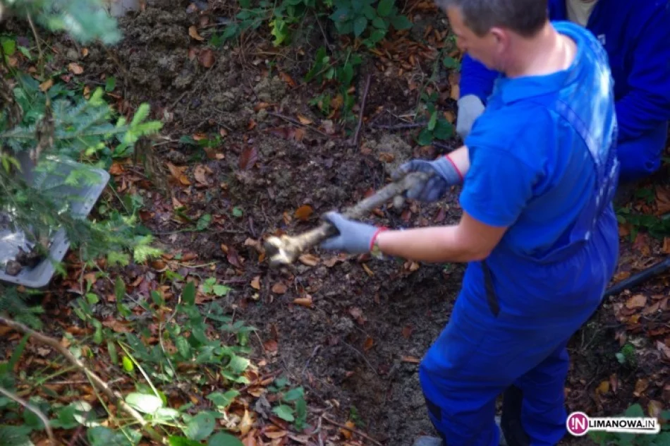 Ekshumacja żołnierzy - podsumowanie prac - zdjęcie 3