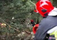 Pijany 'maluchem' zjechał ze skarpy - zdjęcie główne