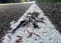 Malowanie na błocie - marnowanie pieniędzy - zdjęcie główne