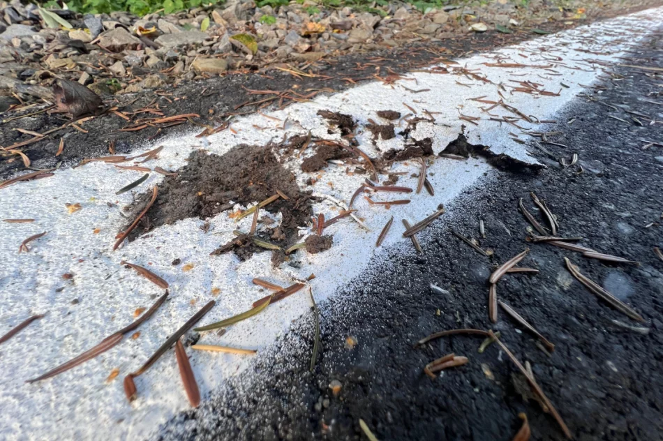 Malowanie na błocie - marnowanie pieniędzy - zdjęcie 3