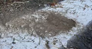 Malowanie na błocie - marnowanie pieniędzy - zdjęcie 4