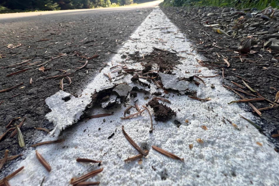 Malowanie na błocie - marnowanie pieniędzy - zdjęcie 13