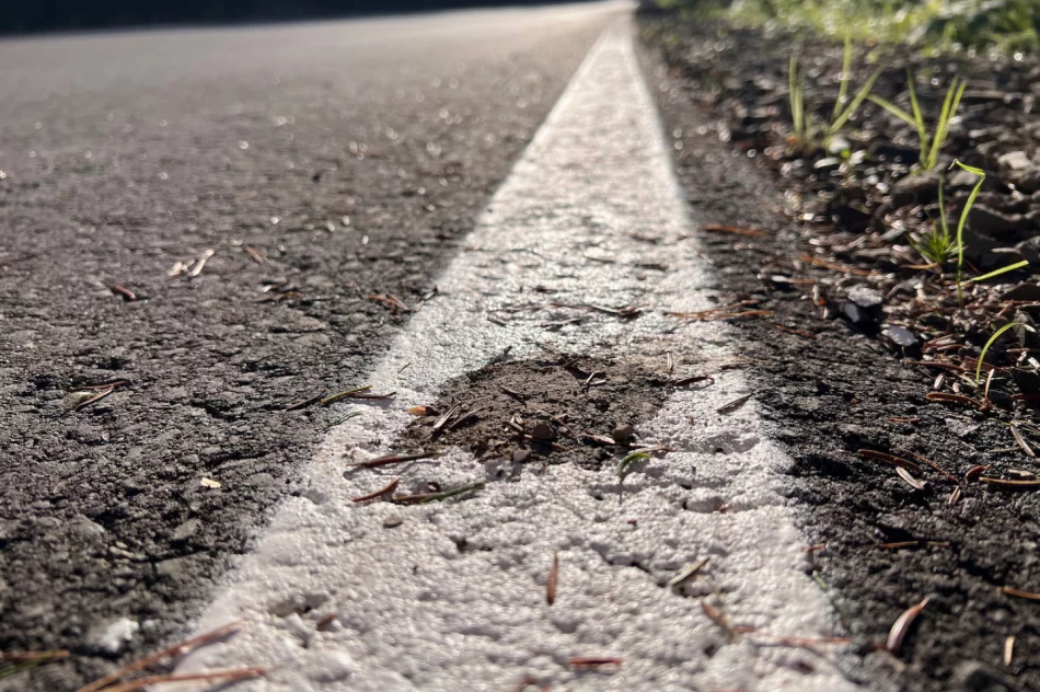 Malowanie na błocie - marnowanie pieniędzy - zdjęcie 19