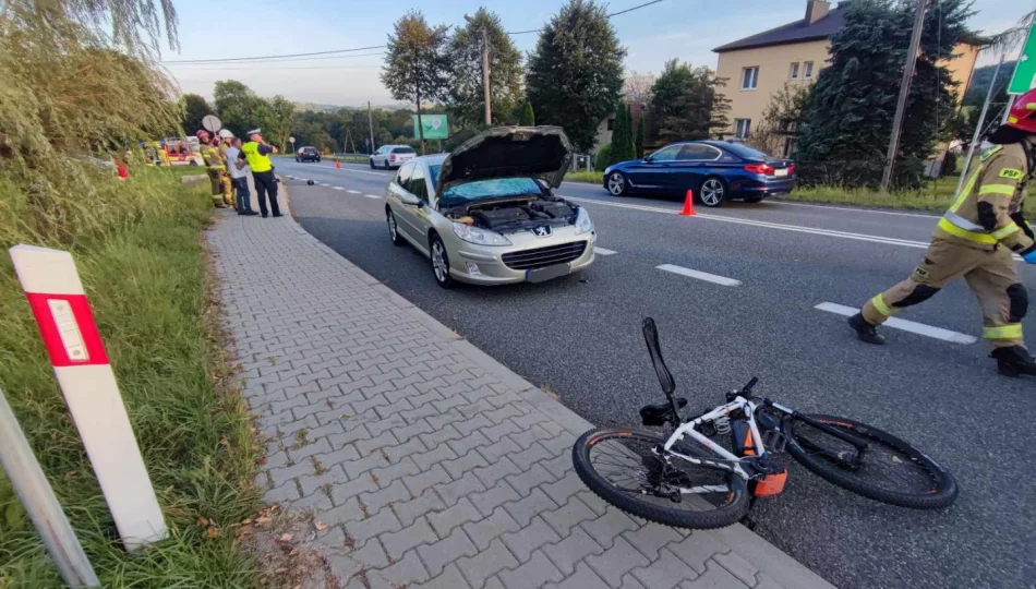 Poważne obrażenia 12-latka. Zabrał go LPR - zdjęcie 1