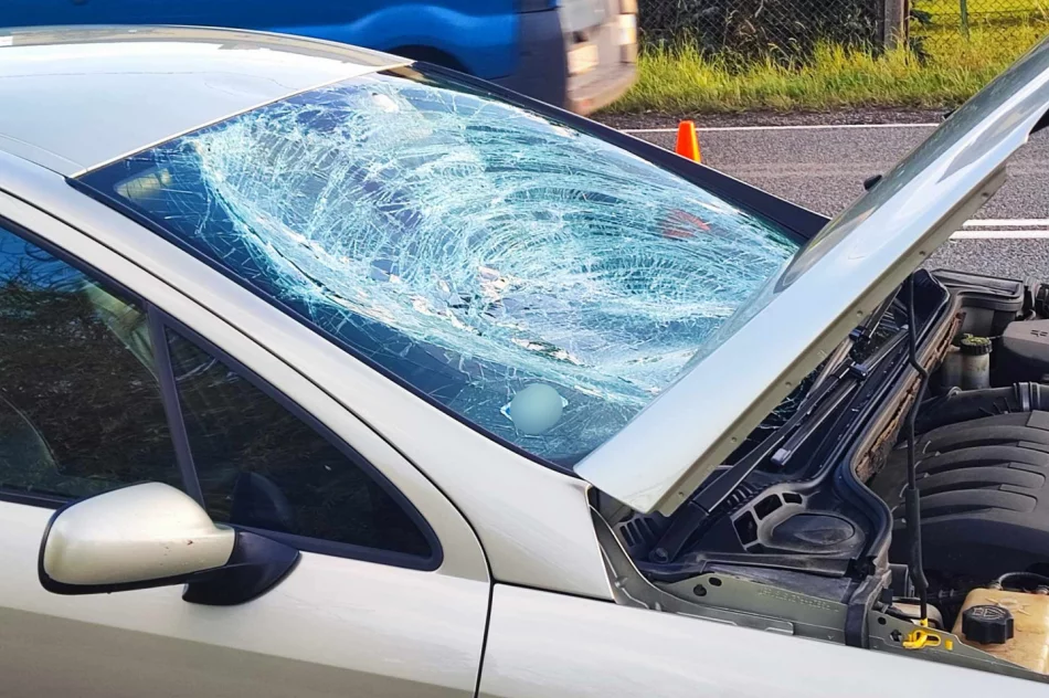Poważne obrażenia 12-latka. Zabrał go LPR - zdjęcie 3