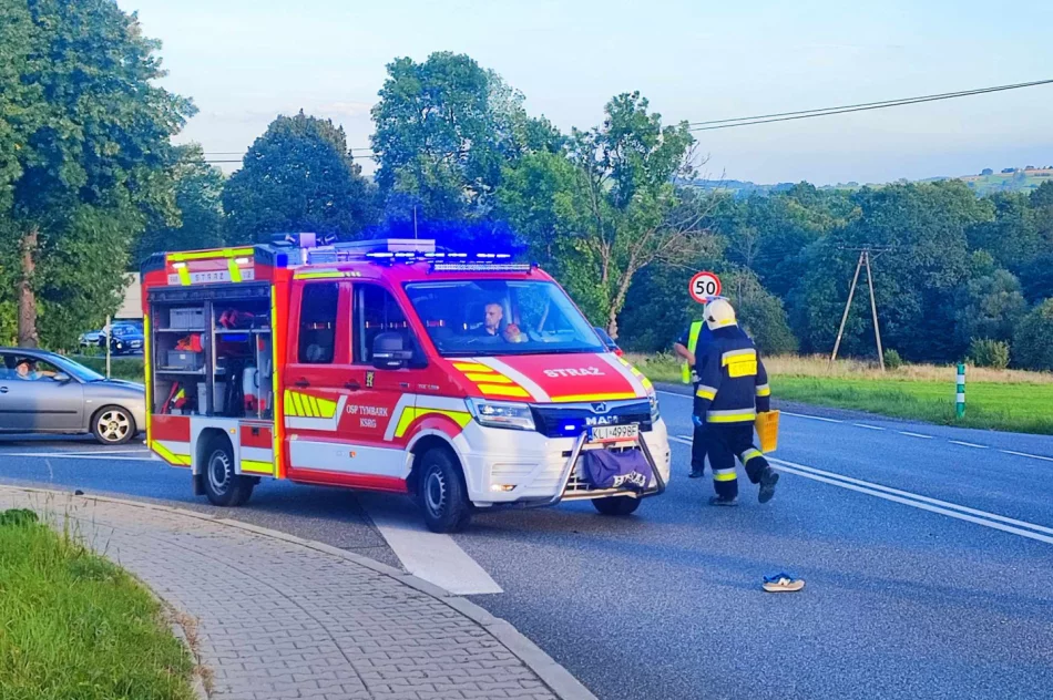 Poważne obrażenia 12-latka. Zabrał go LPR - zdjęcie 4