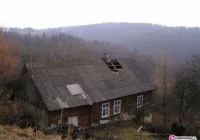 Przed ujawnieniem plantacji doszło do pożaru - zdjęcie główne