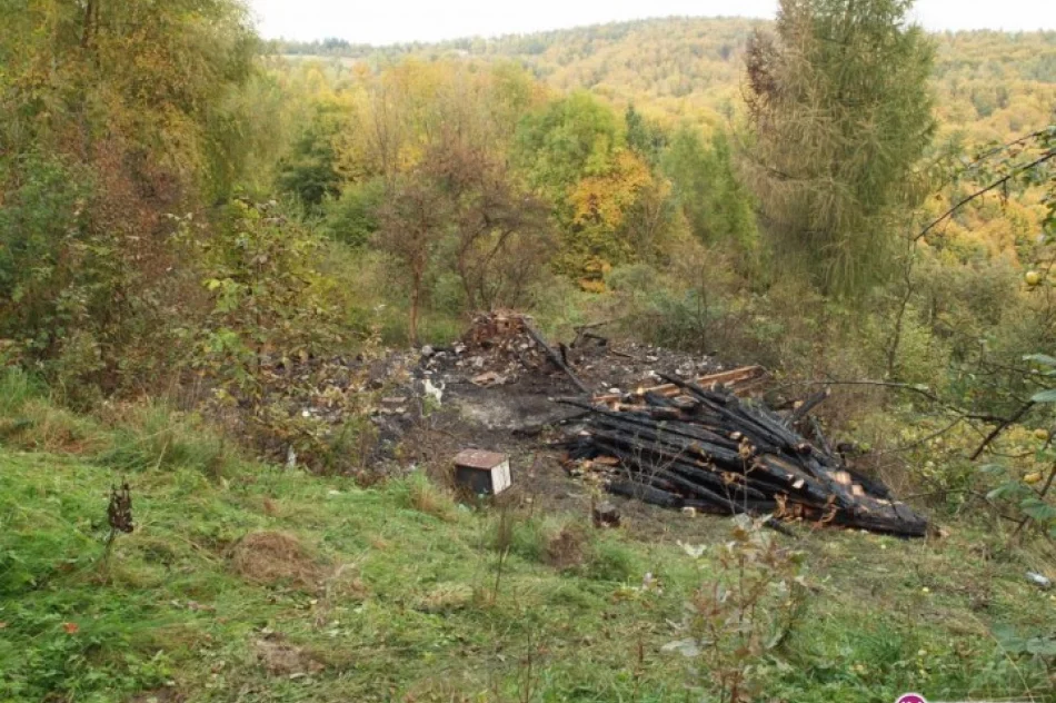 Przed ujawnieniem plantacji doszło do pożaru - zdjęcie 2