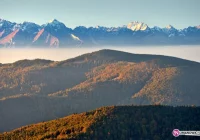 Nagrody czekają na zwycięzców - zdjęcie główne