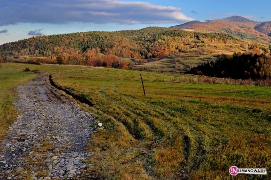 Nagrody czekają na zwycięzców - zdjęcie 2
