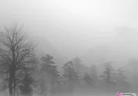 Uwaga na silne mgły - zdjęcie główne