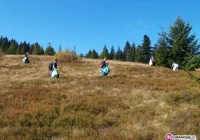 Sprzątali Gorce - zdjęcie główne