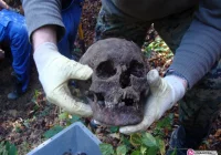 Ekshumacja żołnierzy w Młynnem - zdjęcie główne