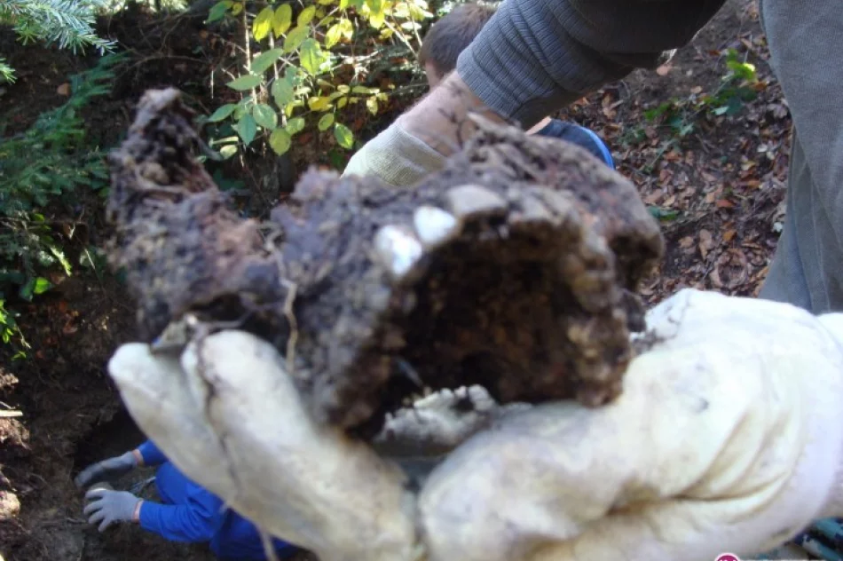 Ekshumacja żołnierzy w Młynnem - zdjęcie 3