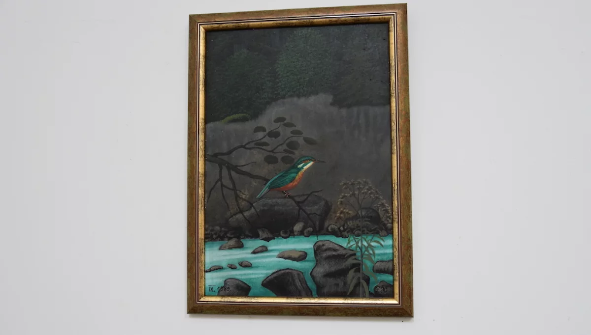 Ptaki Piotra Kwita – obrazy i rzeźby