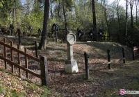 Zdewastowany cmentarz czeka na decyzję - zdjęcie główne