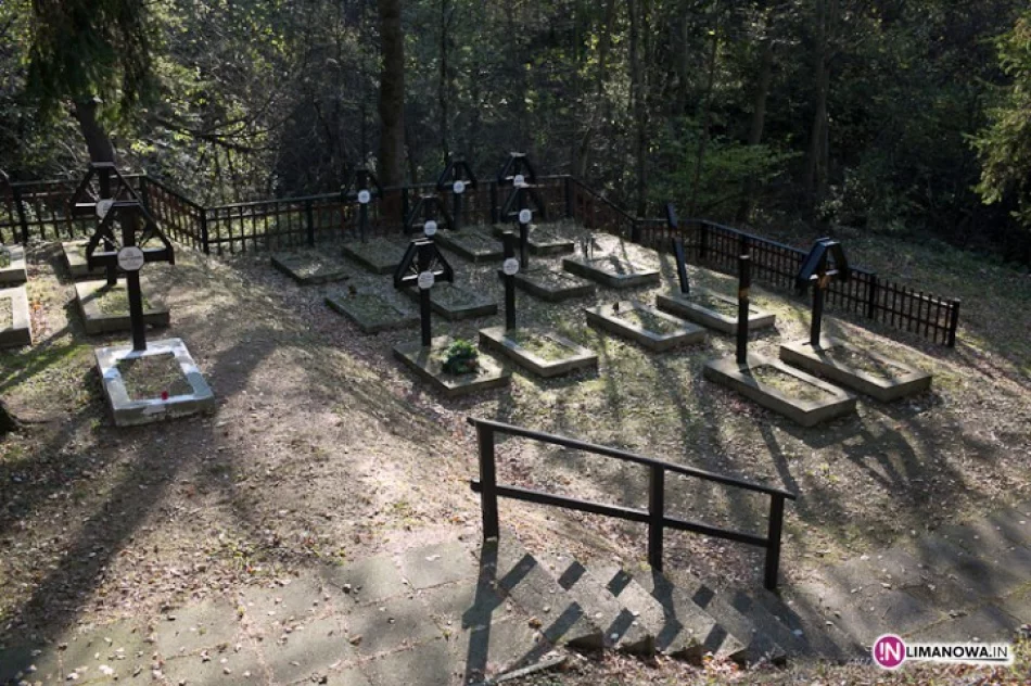 Zdewastowany cmentarz czeka na decyzję - zdjęcie 2