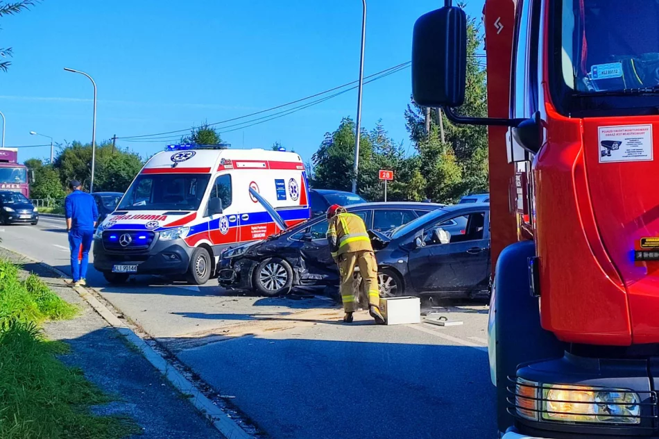 Zderzenie pojazdów na drodze krajowej  - zdjęcie 4