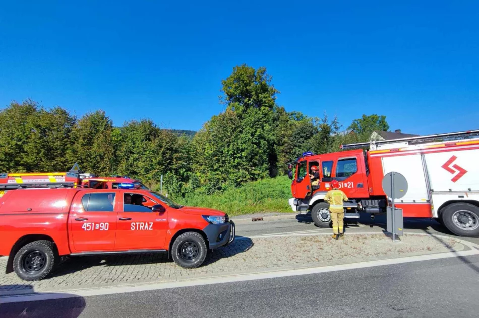 Zderzenie pojazdów na drodze krajowej  - zdjęcie 6