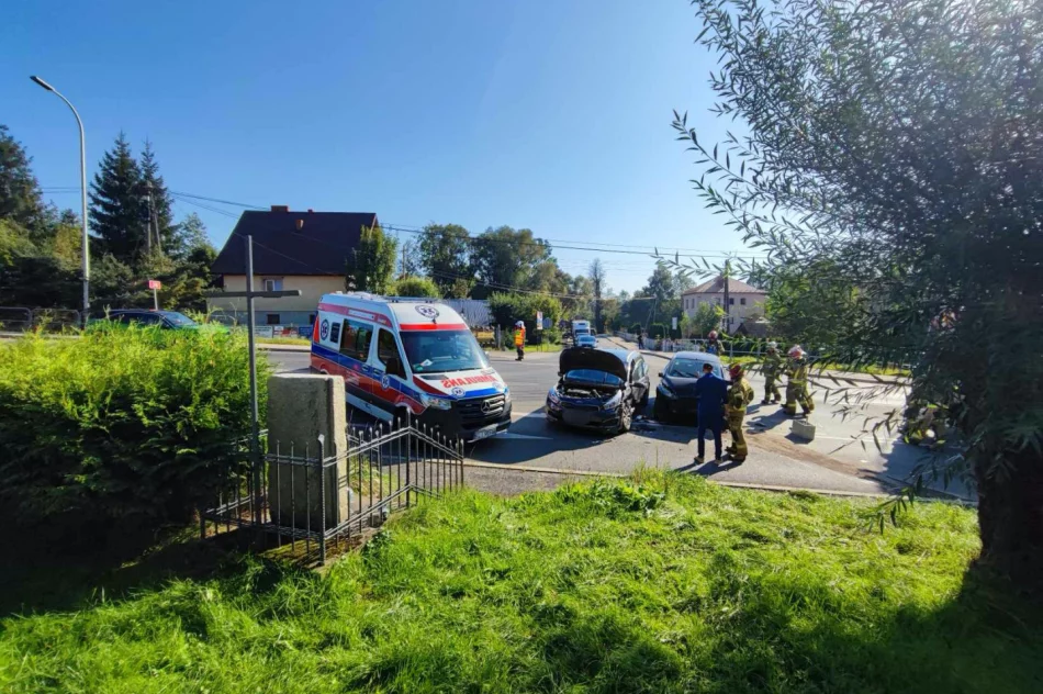 Zderzenie pojazdów na drodze krajowej  - zdjęcie 11