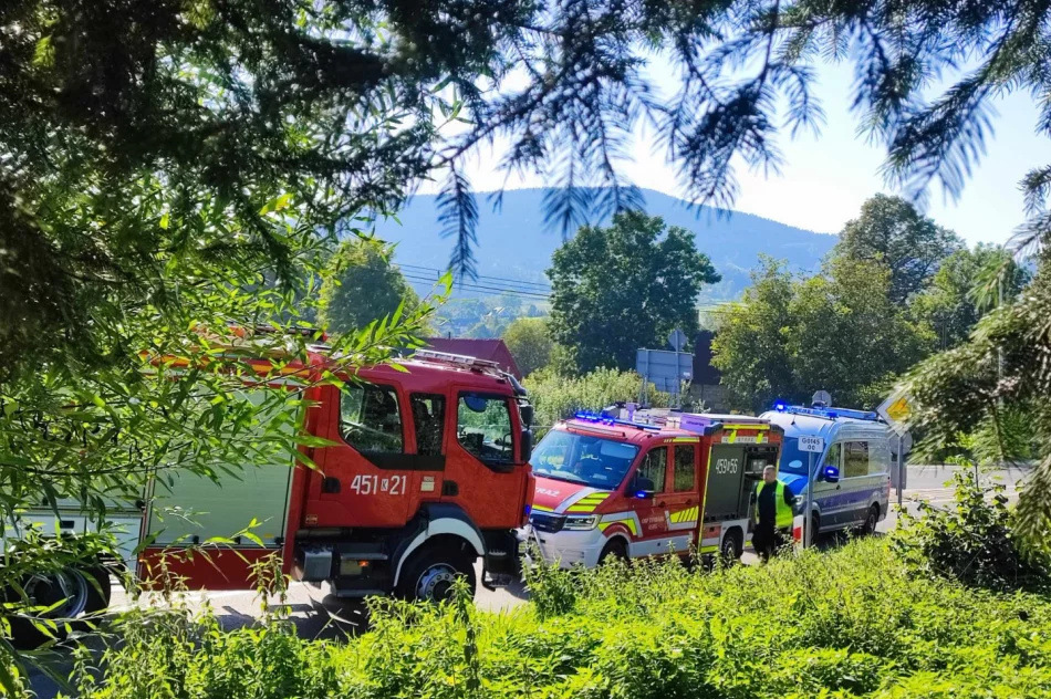 Zderzenie pojazdów na drodze krajowej  - zdjęcie 12