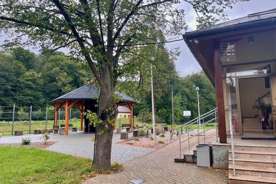 Instalację elektryczną poprowadzili... po drzewie i w rynnie - zdjęcie 2