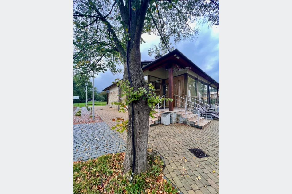 Instalację elektryczną poprowadzili... po drzewie i w rynnie - zdjęcie 3