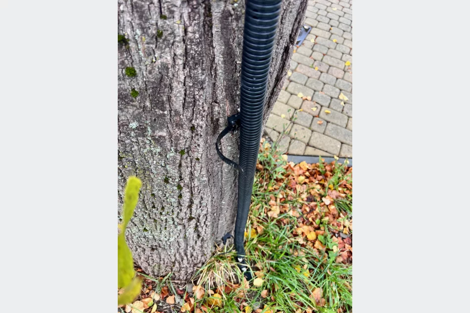 Instalację elektryczną poprowadzili... po drzewie i w rynnie - zdjęcie 4