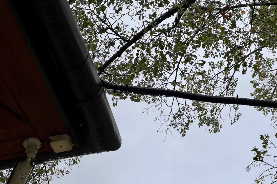 Instalację elektryczną poprowadzili... po drzewie i w rynnie - zdjęcie 5