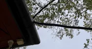 Instalację elektryczną poprowadzili... po drzewie i w rynnie - zdjęcie 5