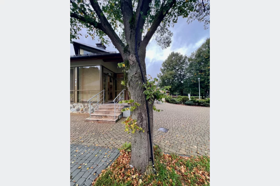 Instalację elektryczną poprowadzili... po drzewie i w rynnie - zdjęcie 7