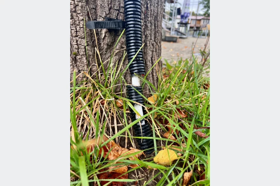 Instalację elektryczną poprowadzili... po drzewie i w rynnie - zdjęcie 13
