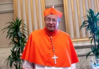Kto na czele Episkopatu? Wśród faworytów kard. Grzegorz Ryś - zdjęcie główne