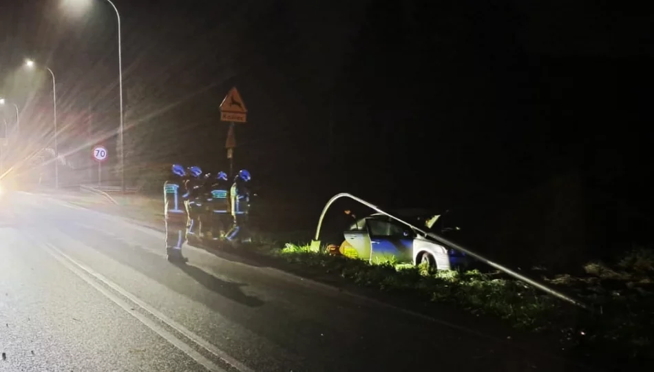 Samochód wypadł z jezdni i uderzył w latarnię - zdjęcie 1