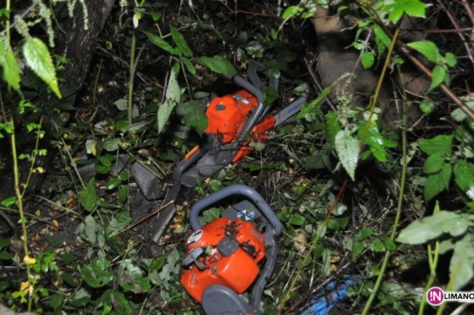 Nocne włamanie po sprzęt ogrodniczy - zdjęcie 2