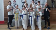 5 medali dla zawodników Limanowskiego Klubu Kyokushin Karate na XI Galizia Cup w Leżajsku - zdjęcie 3