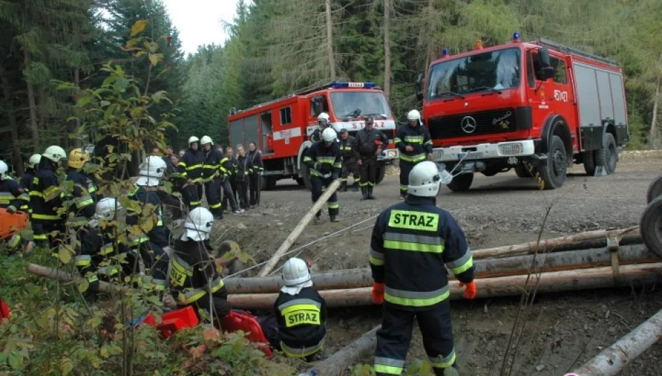 Wypadek i pozorowany pożar lasu - zdjęcie 1