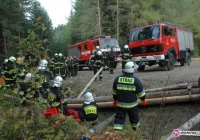 Wypadek i pozorowany pożar lasu - zdjęcie główne