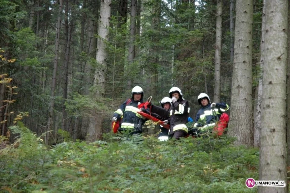 Wypadek i pozorowany pożar lasu - zdjęcie 4
