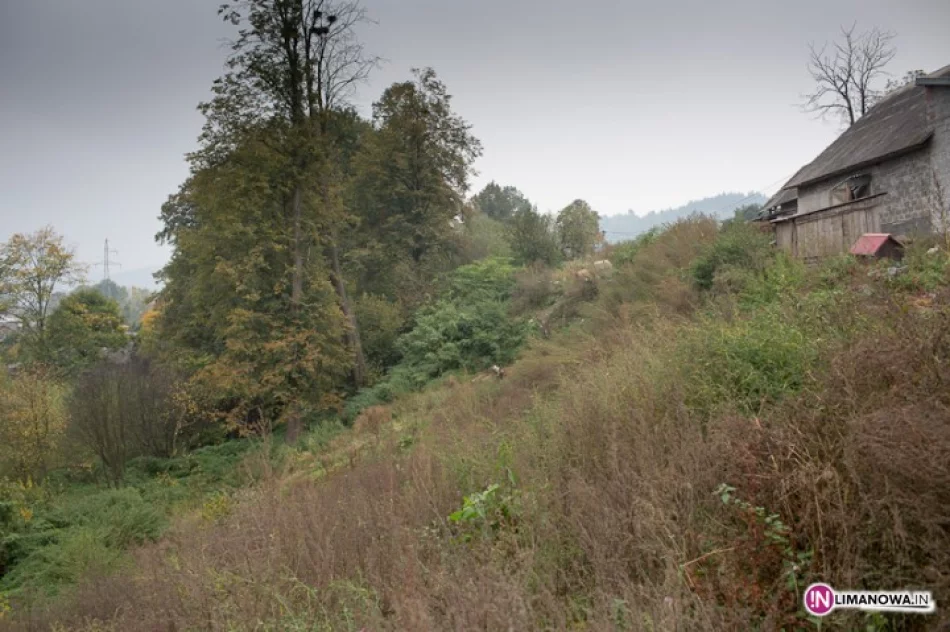 Brak słów... - zdjęcie 2