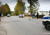 Ciężki stan potrąconej - zdjęcie główne