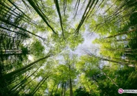 Rozrzucą szczepionkę. Zachowaj ostrożność - zdjęcie główne