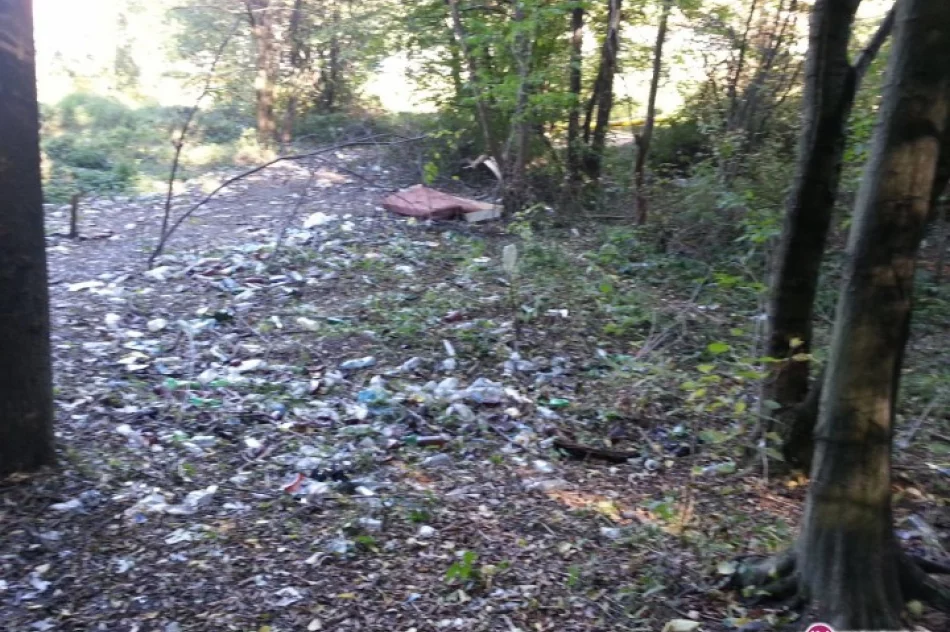Fotointerwencja: Las... śmieci - zdjęcie 2