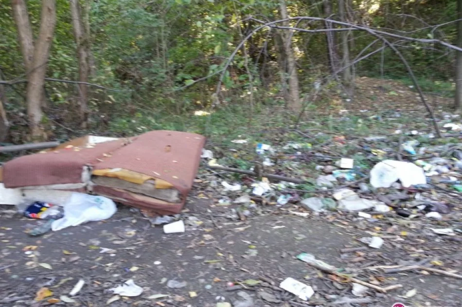 Fotointerwencja: Las... śmieci - zdjęcie 3