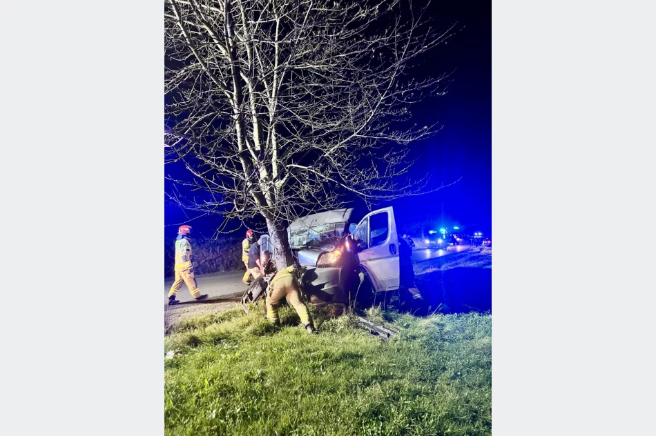 Samochód dostawczy rozbił się na drzewie - zdjęcie 2