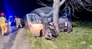 Samochód dostawczy rozbił się na drzewie - zdjęcie 3